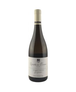 Vin Blanc Quinta dos Termos Réserve 2023, 75cl DOC Beira Interior
