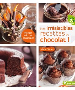 MES IRRÉSISTIBLES RECETTES AU CHOCOLAT (119 PAGES)