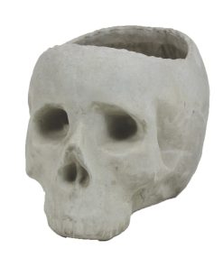 Pot ciment tête de mort