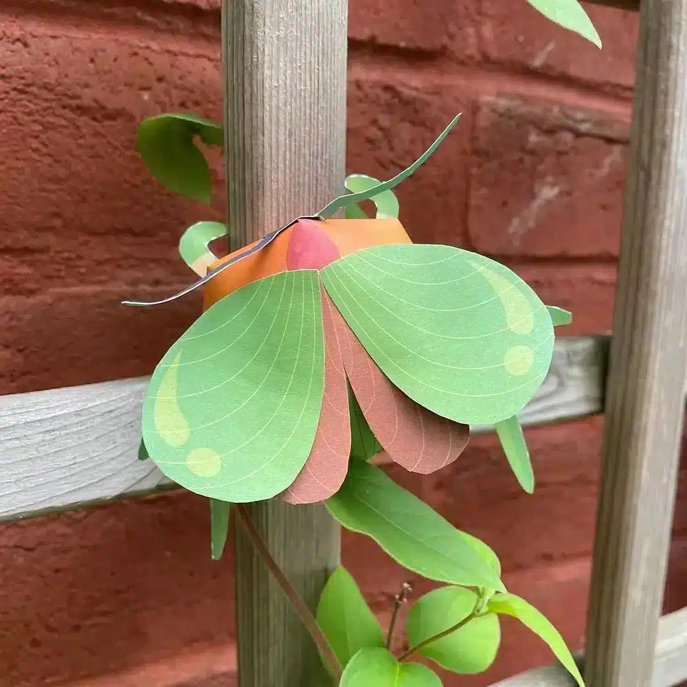 Kit hôtel à insectes bricolage enfants – Botaki - Image 2