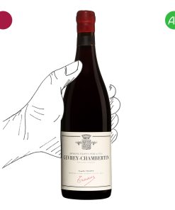 Gevrey-Chambertin