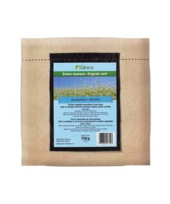 Engrais Vert Sarrasin